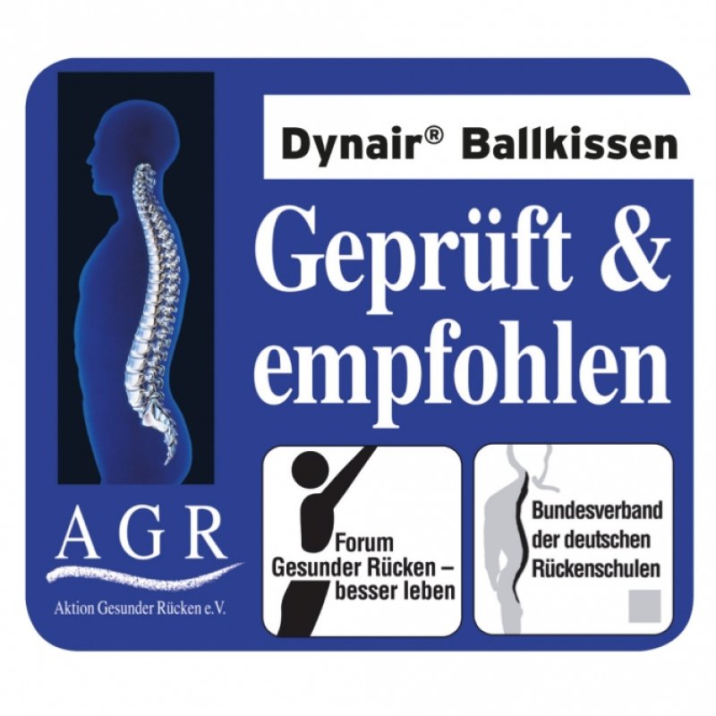 Dynair® Ballkissen® XL