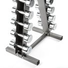 Dumbbell Rack (10 pairs) - pyramide model - silver