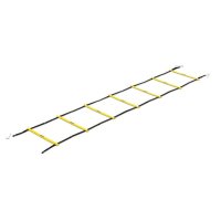 Quick Ladder Pro Quick Ladder Pro